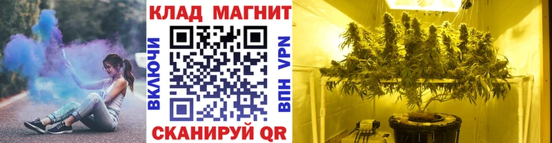 Магазин наркотиков Нолинск COCAIN  Каннабис 