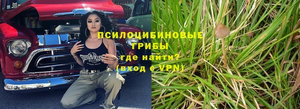 Альфа ПВП Алзамай
