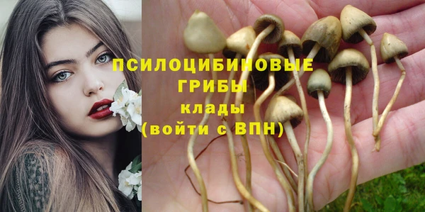 PSILOCYBIN Абинск